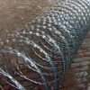 Razor wire galvanised