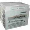 PPCP Amaron Quanta 42Ah / 12V UPS Battery