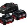 Bosch 2 X GBA 18V 5.0AH + GAL 1880 CV Professional Starter Set