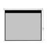 Lightwave LW EPS -300E Electric Projector Screen