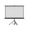 Lightwave LW TPS -240T Tripod Projector Screen