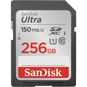 SDSDUNC-256G-GN6IN